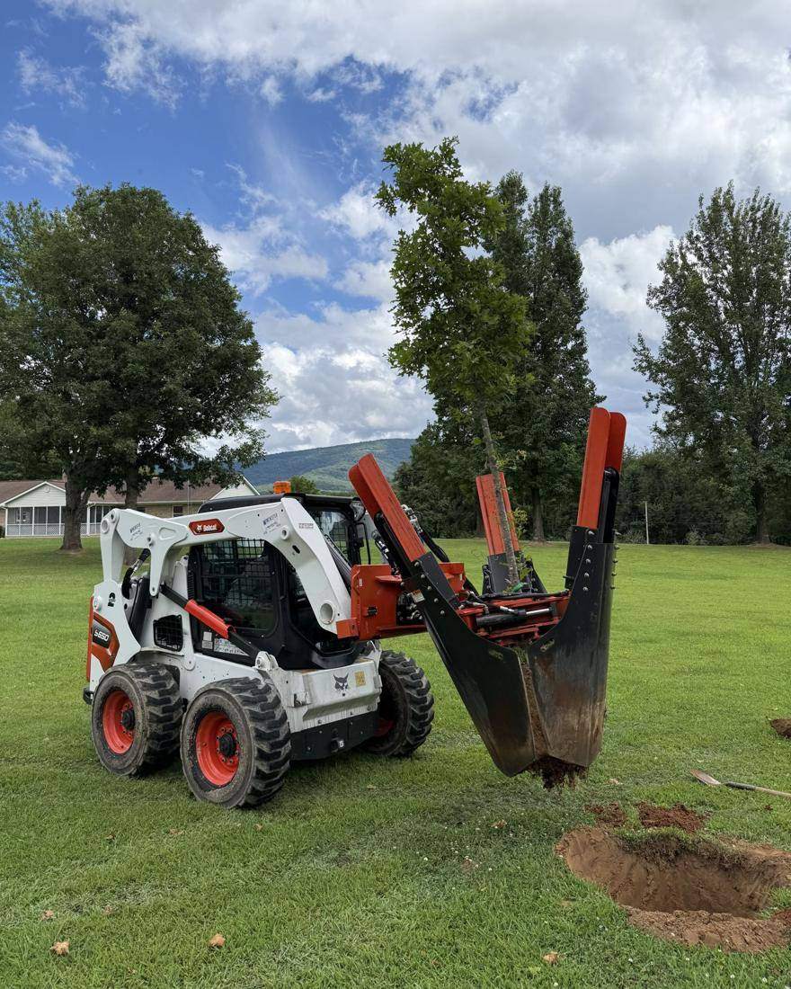 Skid steer with a tree spade lifting a tree from a lawn